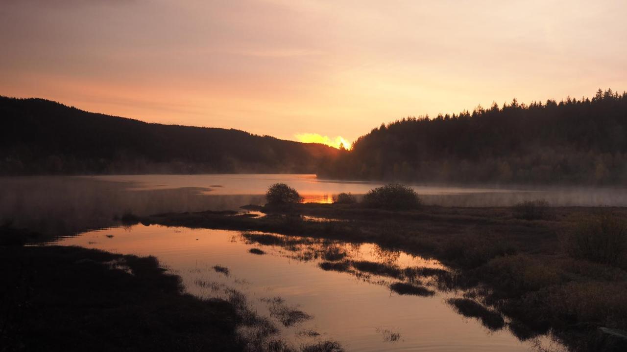 C4 Albmatte-Fewo Sauna, Hallenbad Aussenbecken Massagen Nebenan Menzenschwand-Hinterdorf 外观 照片