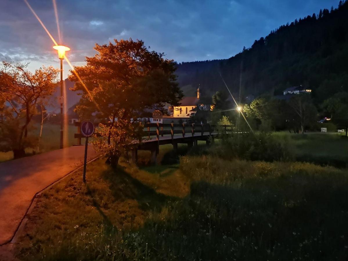C4 Albmatte-Fewo Sauna, Hallenbad Aussenbecken Massagen Nebenan Menzenschwand-Hinterdorf 外观 照片