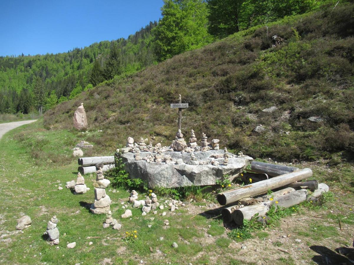 C4 Albmatte-Fewo Sauna, Hallenbad Aussenbecken Massagen Nebenan Menzenschwand-Hinterdorf 外观 照片