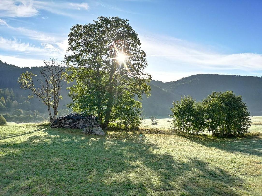 C4 Albmatte-Fewo Sauna, Hallenbad Aussenbecken Massagen Nebenan Menzenschwand-Hinterdorf 外观 照片