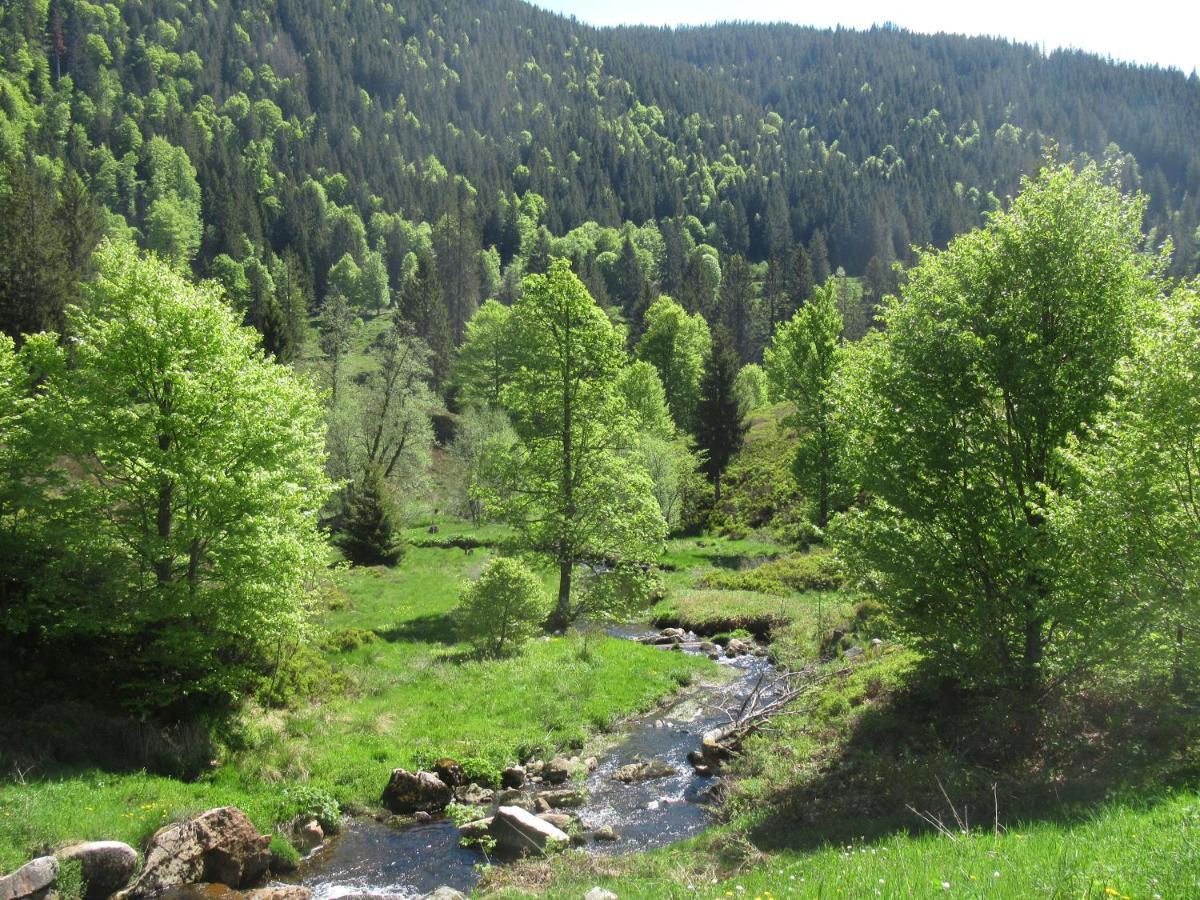 C4 Albmatte-Fewo Sauna, Hallenbad Aussenbecken Massagen Nebenan Menzenschwand-Hinterdorf 外观 照片