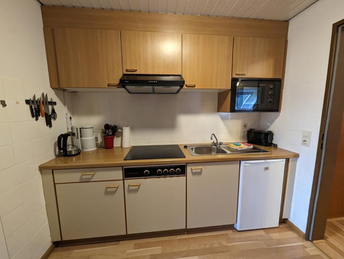 C4 Albmatte-Fewo Sauna, Hallenbad Aussenbecken Massagen Nebenan Menzenschwand-Hinterdorf 外观 照片