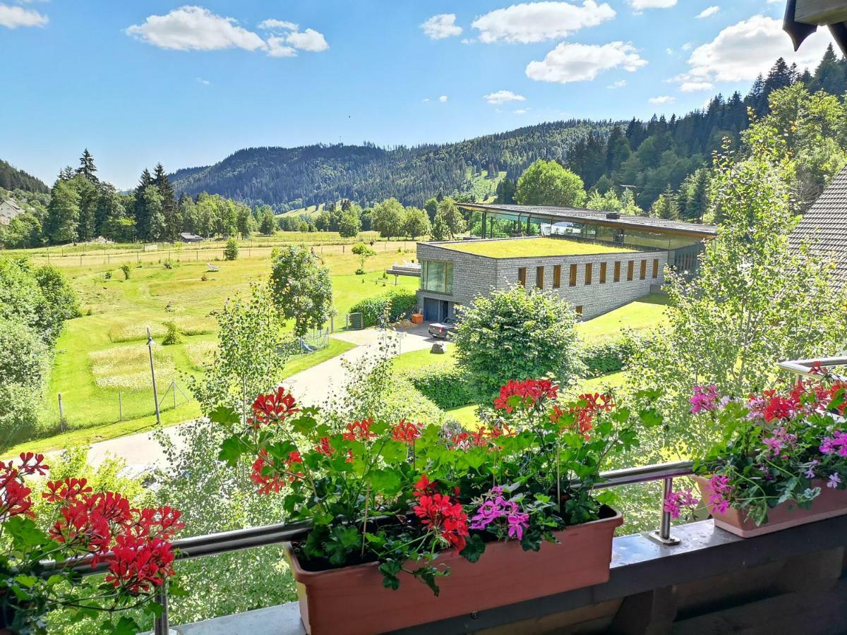 C4 Albmatte-Fewo Sauna, Hallenbad Aussenbecken Massagen Nebenan Menzenschwand-Hinterdorf 外观 照片
