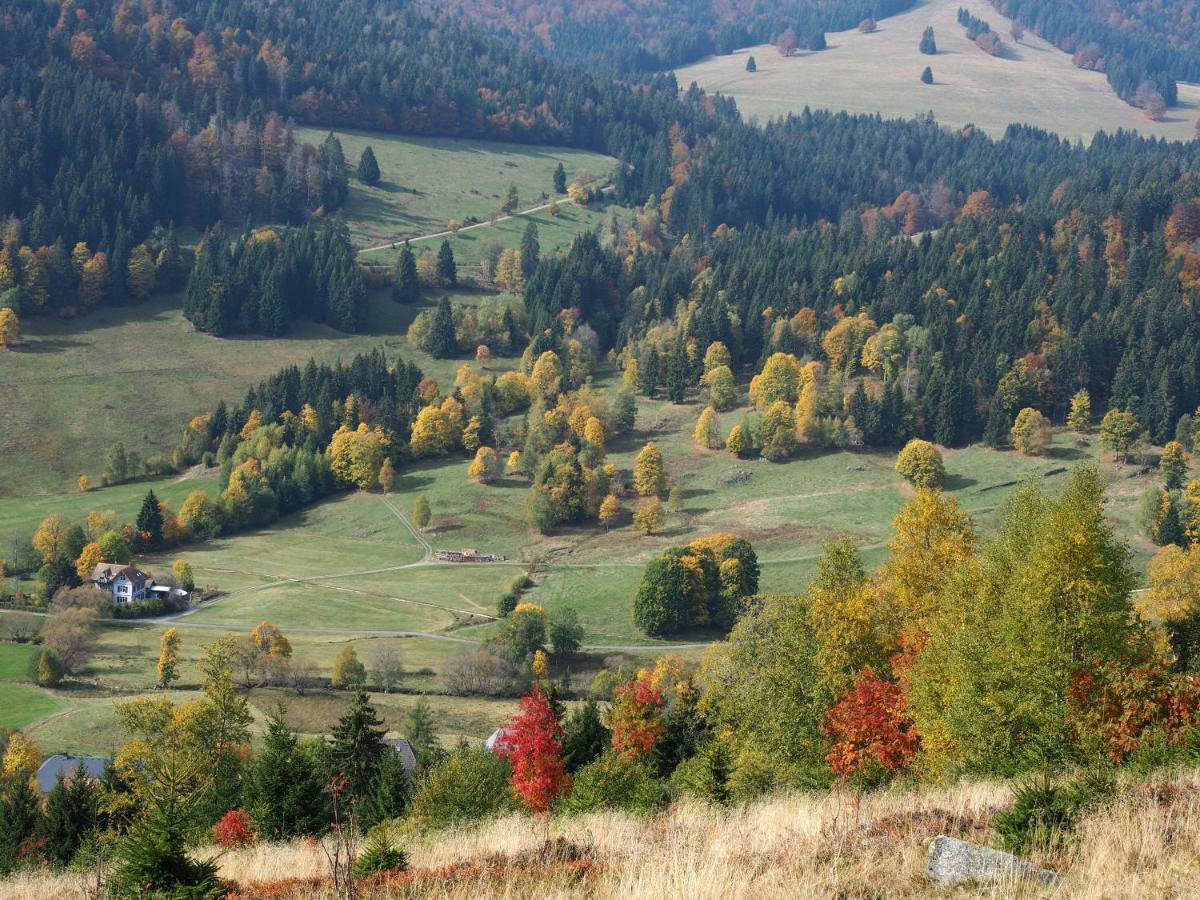 C4 Albmatte-Fewo Sauna, Hallenbad Aussenbecken Massagen Nebenan Menzenschwand-Hinterdorf 外观 照片