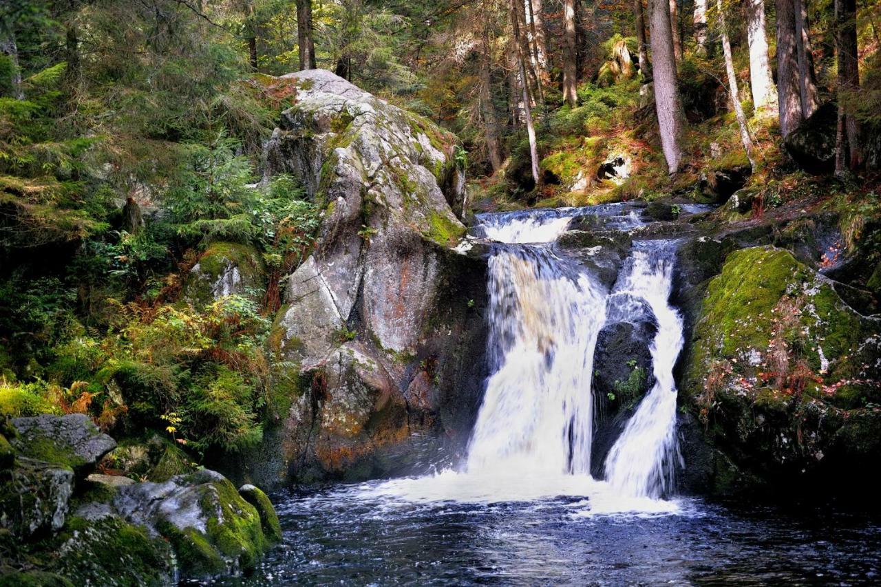 C4 Albmatte-Fewo Sauna, Hallenbad Aussenbecken Massagen Nebenan Menzenschwand-Hinterdorf 外观 照片