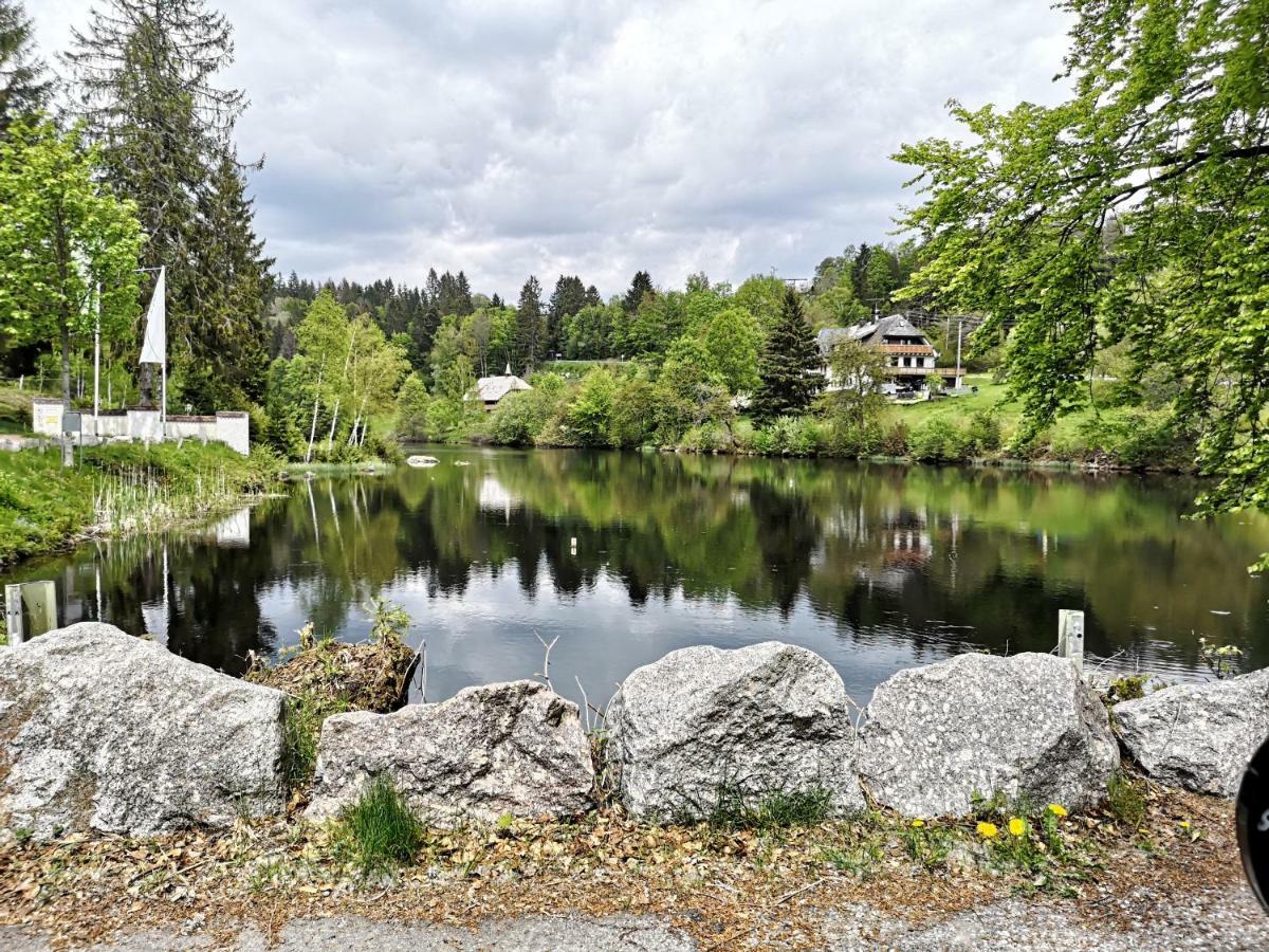 C4 Albmatte-Fewo Sauna, Hallenbad Aussenbecken Massagen Nebenan Menzenschwand-Hinterdorf 外观 照片
