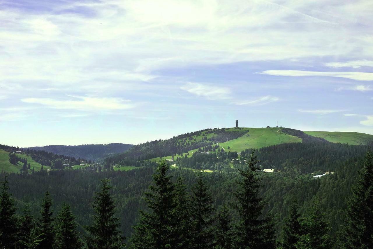 C4 Albmatte-Fewo Sauna, Hallenbad Aussenbecken Massagen Nebenan Menzenschwand-Hinterdorf 外观 照片