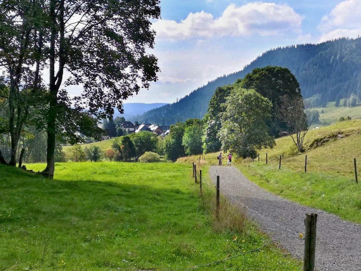 C4 Albmatte-Fewo Sauna, Hallenbad Aussenbecken Massagen Nebenan Menzenschwand-Hinterdorf 外观 照片