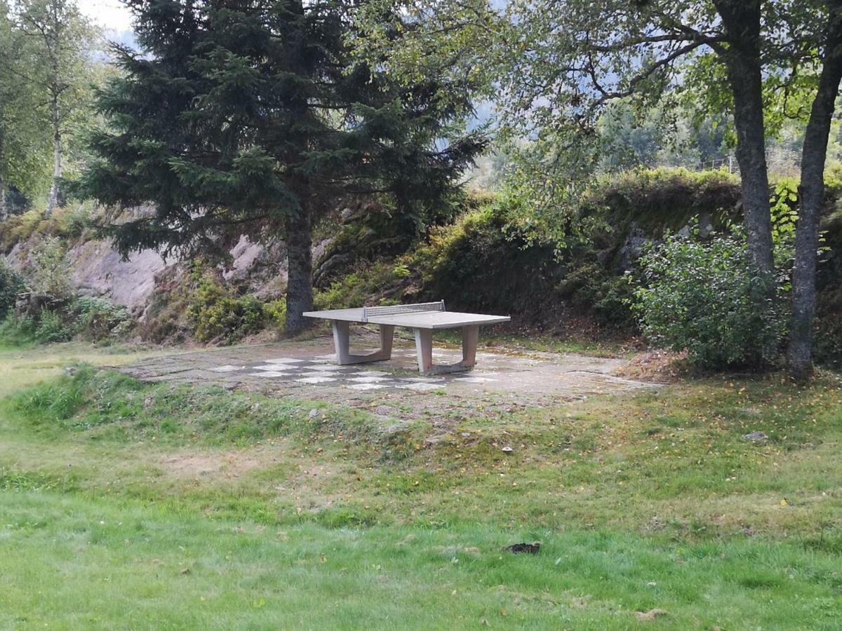 C4 Albmatte-Fewo Sauna, Hallenbad Aussenbecken Massagen Nebenan Menzenschwand-Hinterdorf 外观 照片
